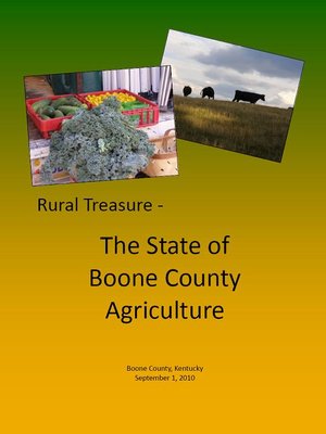 cover image of Rural Treasure